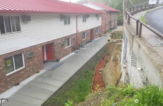 925 College Avenue - 925 College Avenue, Morgantown, WV 26505