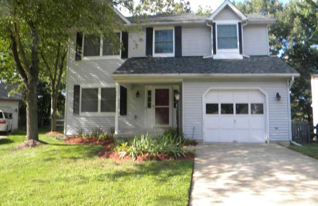 6834 RACCOON photos photos 6834 RACCOON photos photos