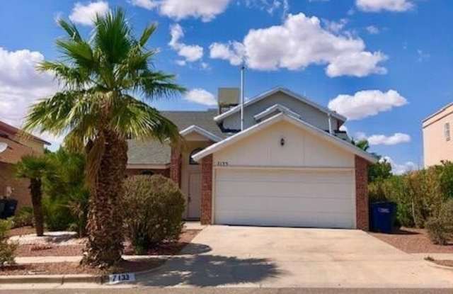 7133 NIGHT HAWK Drive Gallery 1