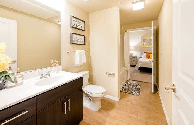 Liv Avenida photos photos