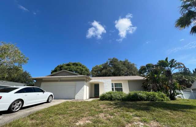 AVAILABLE NOW - 3-Bedroom Home in Prime Palm Harbor Location - 1371 Tenby Way, Palm Harbor, FL 34683