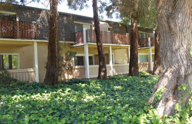 Vallejo Studio available for rent in excellent location over looking Dan Foley Park photos photos