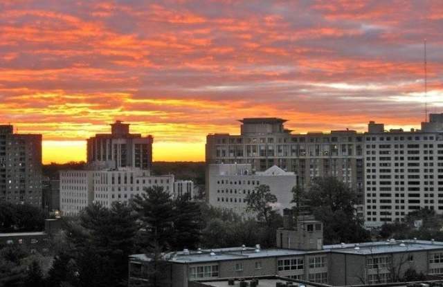 8315 BROOK Lane unit: 2-902 photos photos 8315 BROOK Lane unit: 2-902 photos photos
