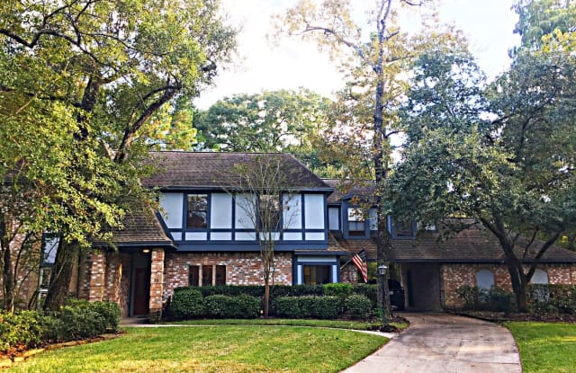 31 Shining Lakes Pl - 31 Shining Lakes Place, The Woodlands, TX 77381