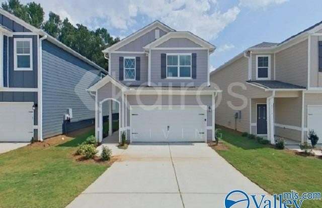 6118 Taramore Lane NW - 6118 Taramore Lane Northwest, Huntsville, AL 35806