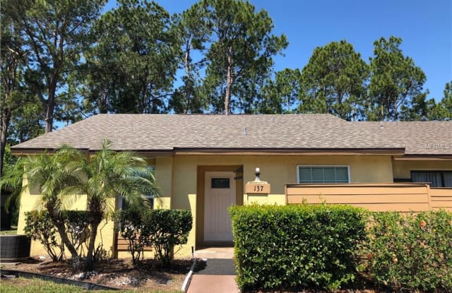 137 CREEKSIDE WAY - 137 Creekside Way, Meadow Woods, FL 32824