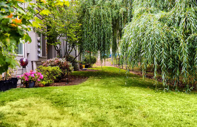 Cedar Grove photos photos