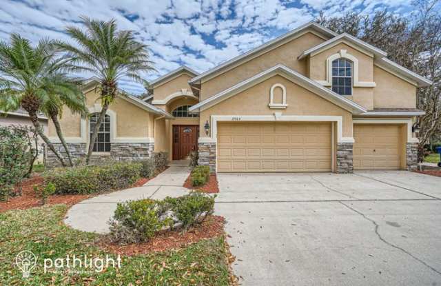 2964 Hickory Grove Drive - 2964 Hickory Grove Drive, Valrico, FL 33596