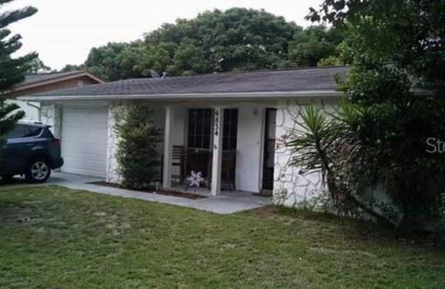 6834 AMARILLO STREET - 6834 Amarillo Street, Jasmine Estates, FL 34668