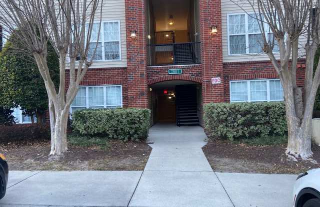 Bellingham Park Beauty photos photos