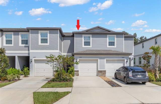 10324 TRUMPET HONEYSUCKLE WAY photos photos