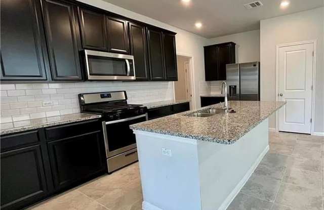 317 Serpens St - 317 Serpens Street, Williamson County, TX 78628