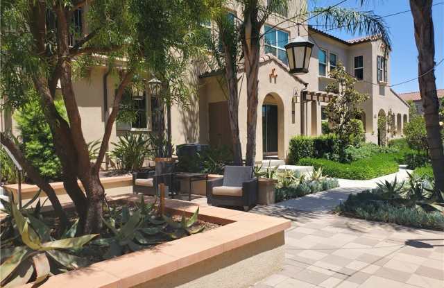 156 Borrego Gallery 4