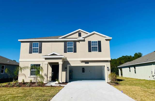Awesome House at Sawgrass Bay for Rent photos photos