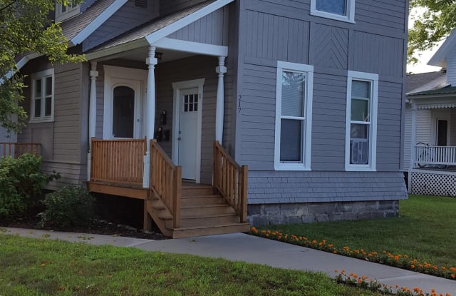 217 Ives #1 - 217 Ives Avenue, Big Rapids, MI 49307