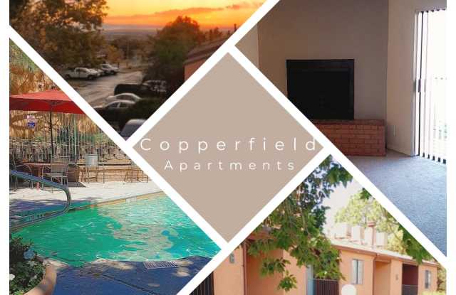 Copperfield Gallery 1