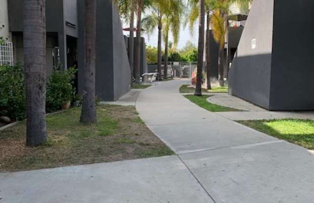 PALM GARDENS Gallery 3