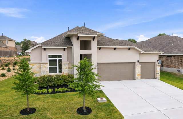 5334 Black Walnut photos photos