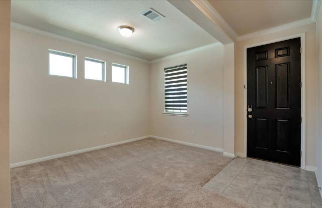 Redland Rd/281 Sienna Subdivision Gallery 3