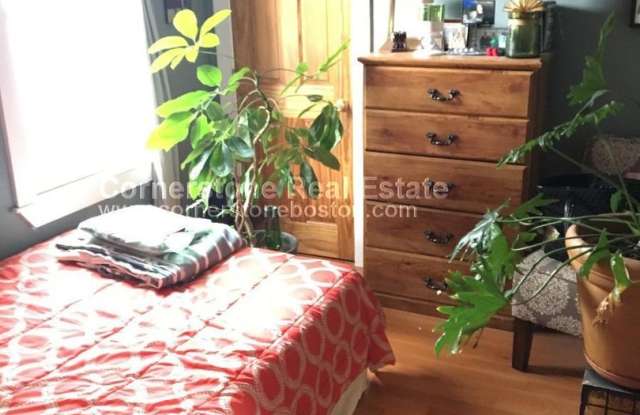 Large 2 bed in Southie photos photos
