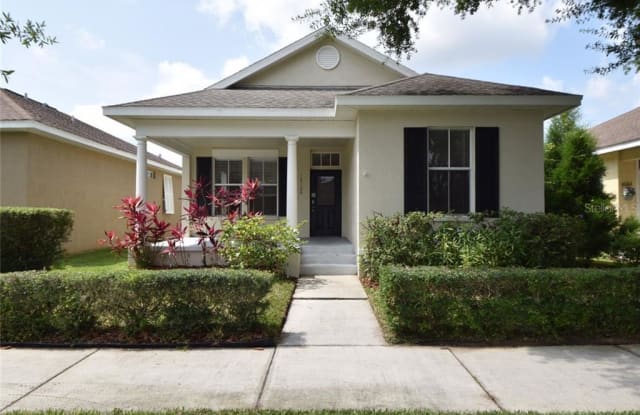 10126 RINGLING STREET - 10126 Ringling Street, Pasco County, FL 34655