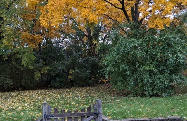 3 Bedroom 1.5 Bathroom Single Family photos photos