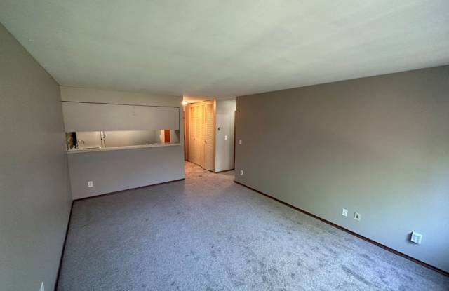 1 Bedroom Condo photos photos
