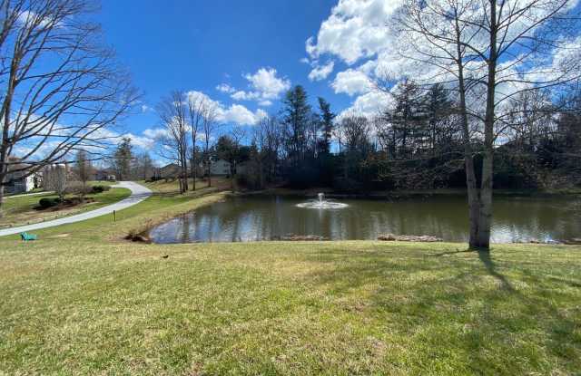 Mills River - Beautiful Townhome with Mountain Views! Gallery 1