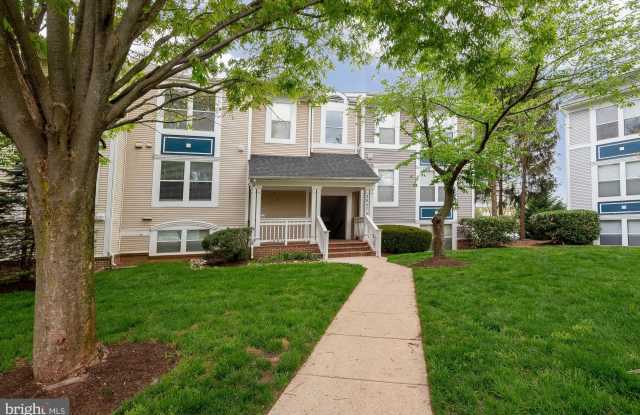 20575 SNOWSHOE Square Gallery 1