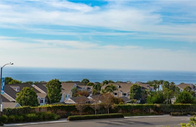 65 Palm Beach Court - 65 Palm Beach Court, Dana Point, CA 92629