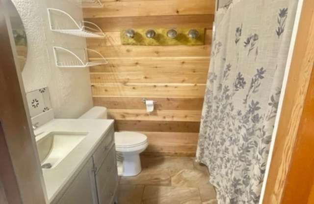 Downtown Pagosa Springs Gem – Fully Renovated 4BR Home! Gallery 4