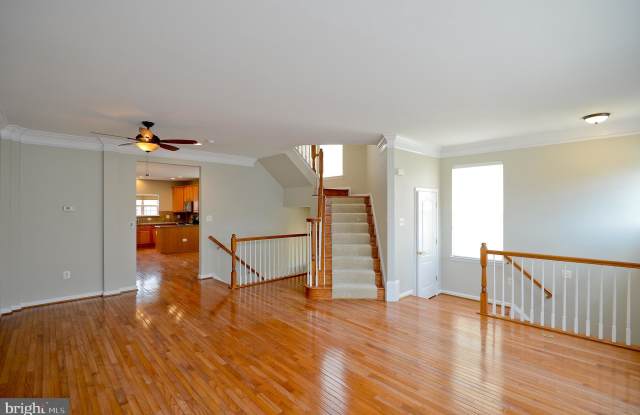 4536 ENGLISH HOLLY DRIVE Gallery 2
