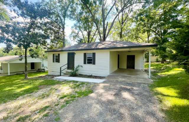 NEWLY RENOVATED! 2 Bed, 1 Bath House for Rent in Brandon! photos photos