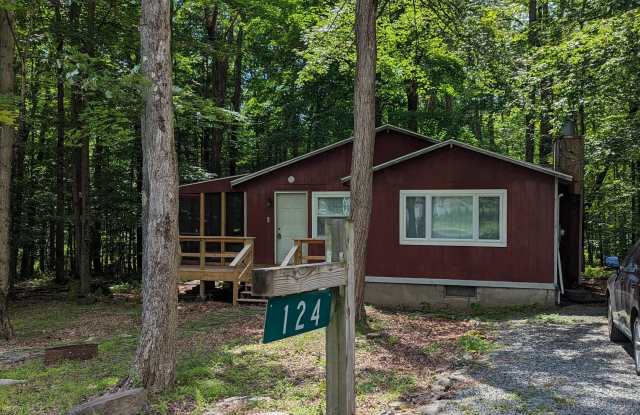 124 Safro Court - 124 Safro Court, Monroe County, PA 18347