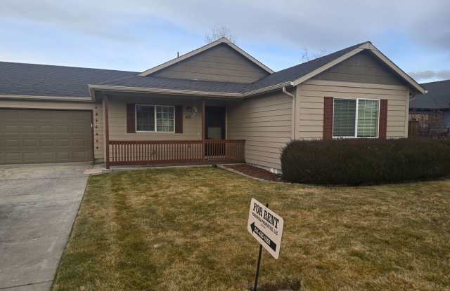 Live in Town photos photos