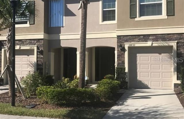12635 LEXINGTON RIDGE STREET - 12635 Lexington Ridge Street, Riverview, FL 33578