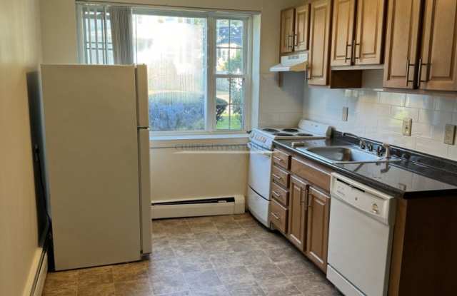 4 Brattle Dr. - 4 Brattle Drive, Arlington, MA 02474