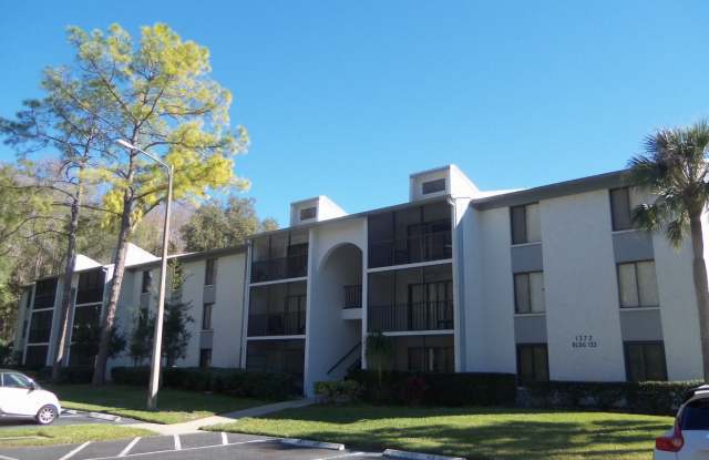 Pine Ridge at Lake Tarpon - 1372 Pine Ridge Circle East, East Lake, FL 34688