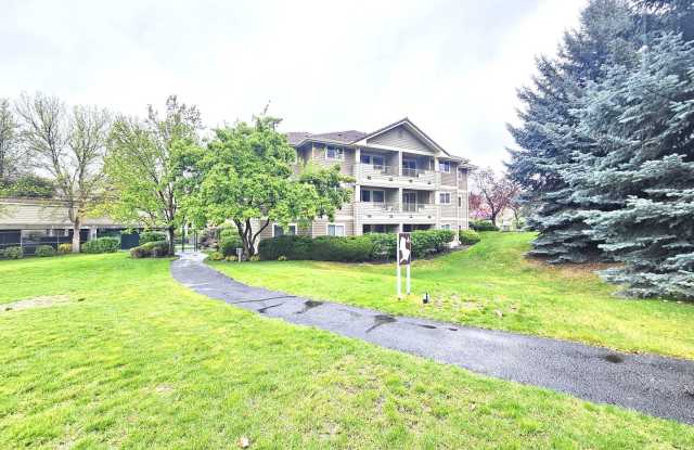 $1,600 - 1 Bed / 1 Bath Gorgeous Condo Unit in University District photos photos