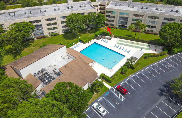 3154 Via Poinciana Gallery 2