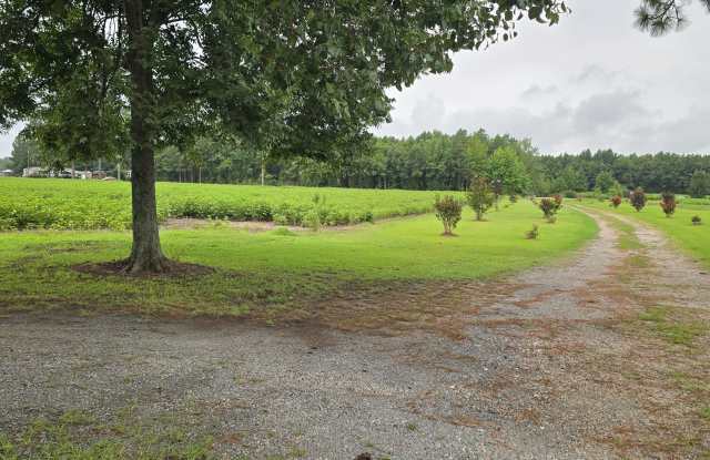 1717 Black Road Gallery 2