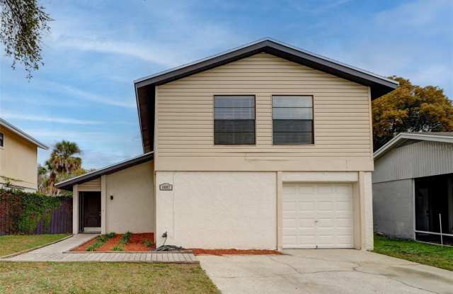 4607 GROVE POINT DRIVE - 4607 Grove Point Drive, Carrollwood, FL 33624