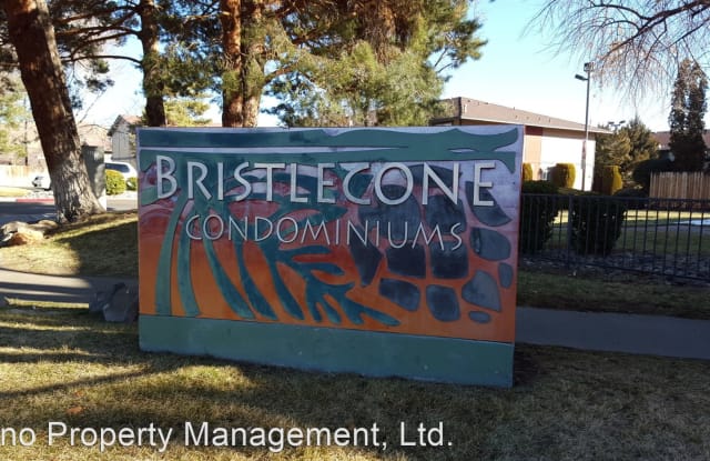 3126 Bristle Branch Dr - 3126 Bristle Branch Drive, Sparks, NV 89434