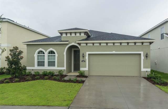 11257 SPRING POINT CIRCLE - 11257 Spring Point Circle, Riverview, FL 33579