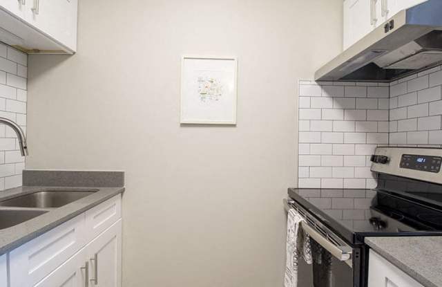 The Scott at East Village Apartments Gallery 2