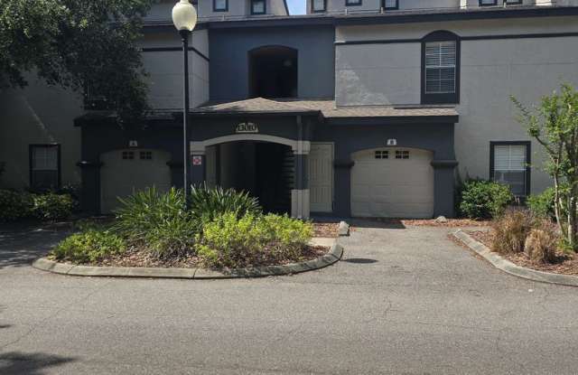 One bedroom one bath apartment close to USF photos photos One bedroom one bath apartment close to USF photos photos