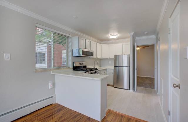 1536 Vine Gallery 2