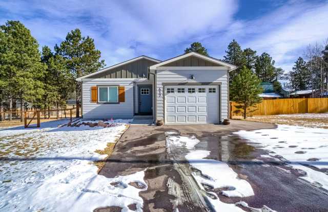 Modern Mountain Living in the Heart of Woodland Park 4BD & 2BA Gallery 1