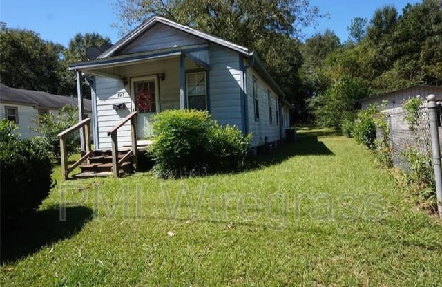 127 N Carroll St - 127 North Carroll Street, Enterprise, AL 36330