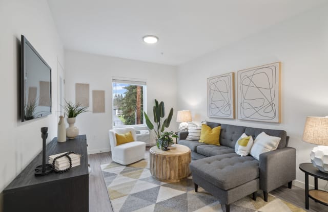 The Oliveen Gallery 4